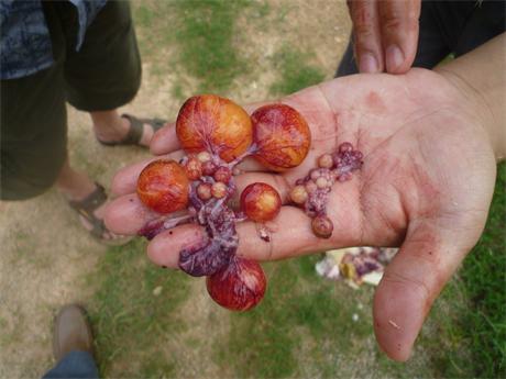 �����ں���ʡ�I���h���u�������g(sh��)ָ��(d��o)���D�V�W(xu��)��(x��)