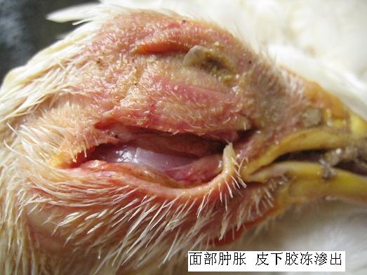 ���ʕr��(y��ng)ԓ��ʲô��λ��ʲô��λ�l(f��)��ʲô����